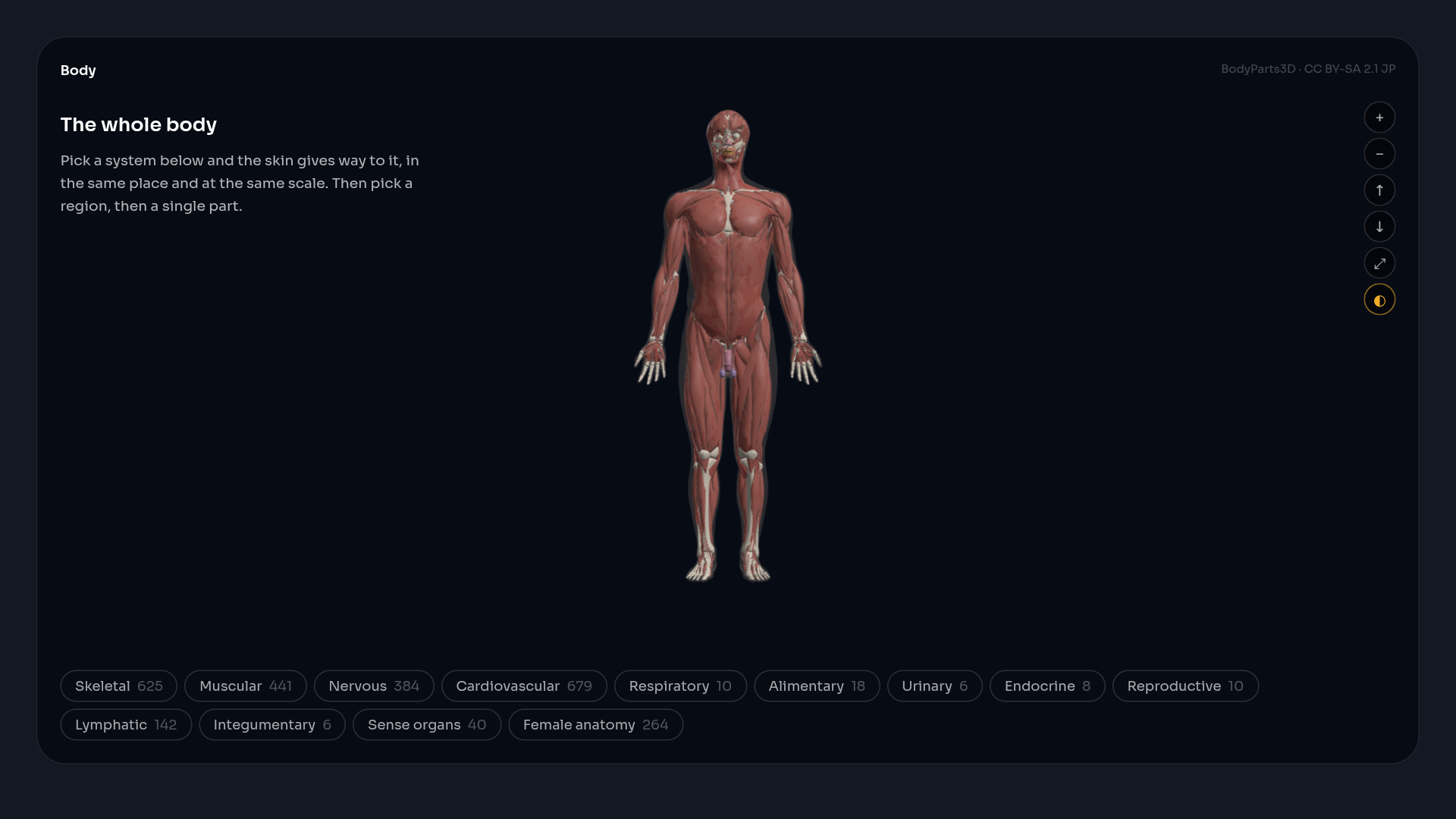 Anatomy Atlas — The whole body, drilled down to one of 2,629 named parts.